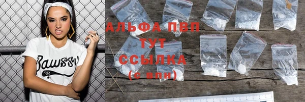 ECSTASY Абаза