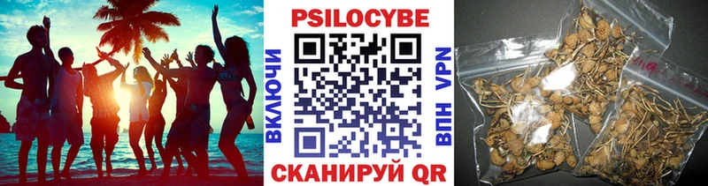 Псилоцибиновые грибы GOLDEN TEACHER Подпорожье
